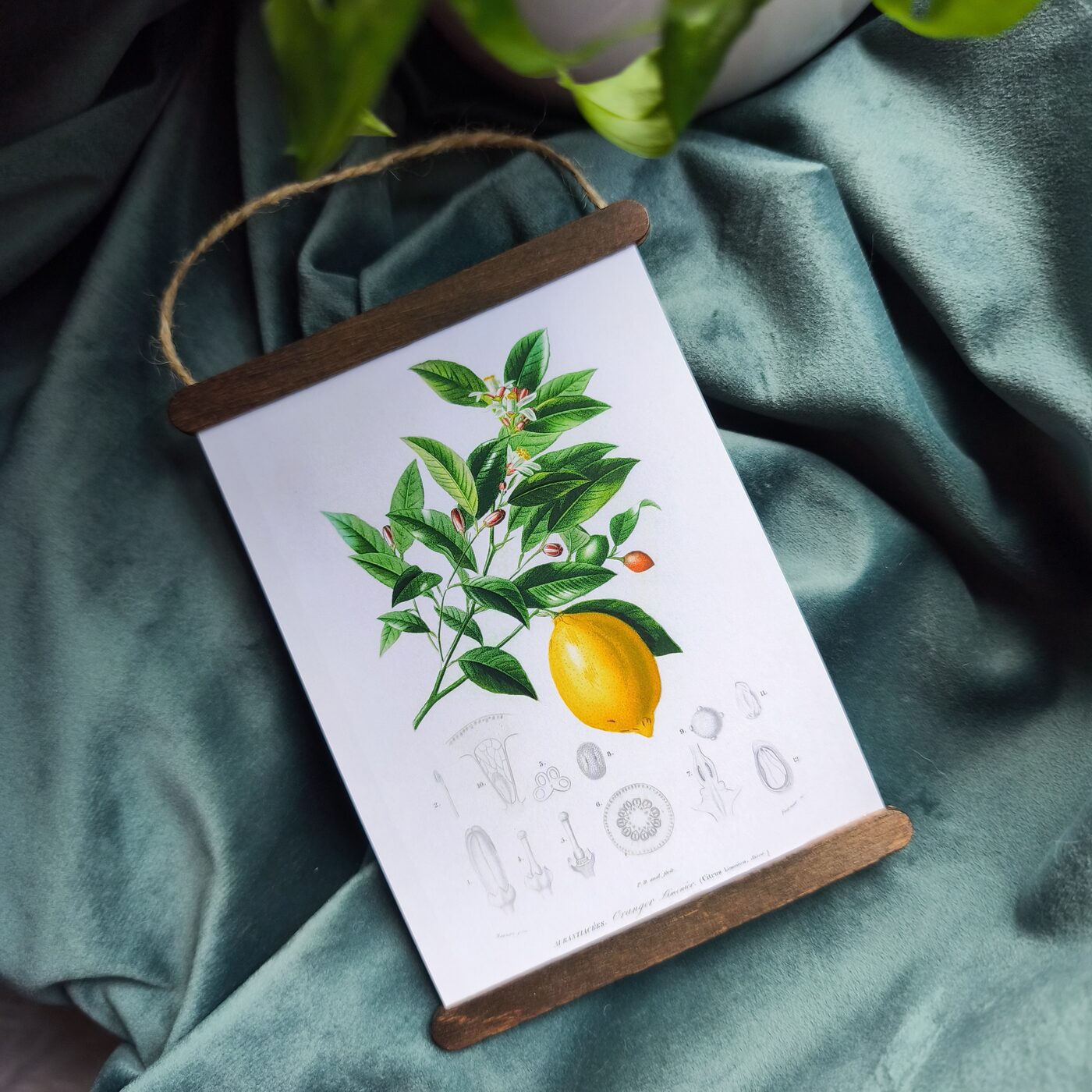 Mini dekors - vintage Citrons