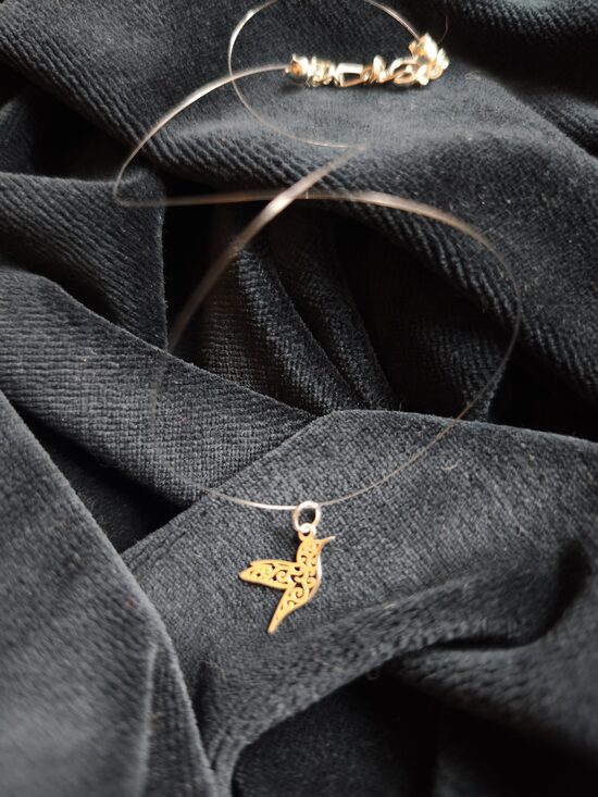 Neredzamā kaklarota Kolibri