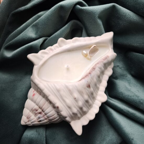 Svece lielais gliemežvāks n°6