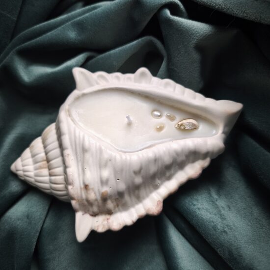 Svece lielais gliemežvāks n°4