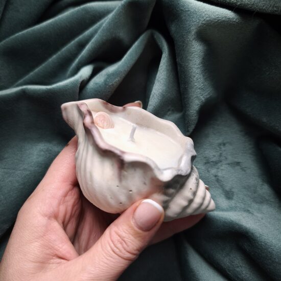 Svece mazais gliemežvāks n°2