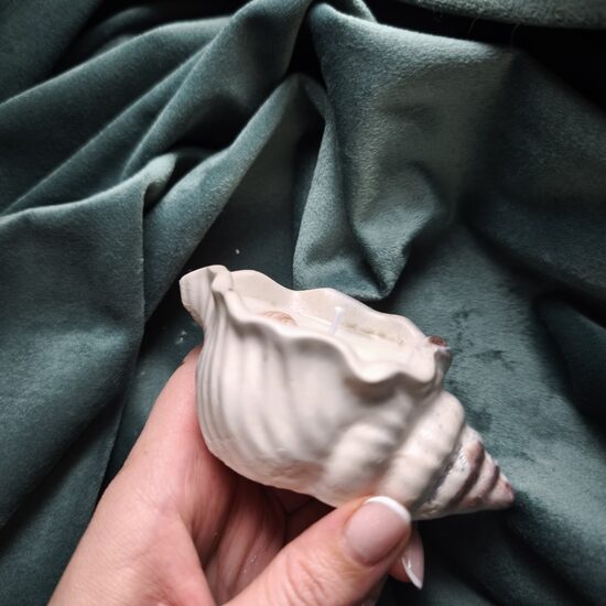 Svece mazais gliemežvāks n°4