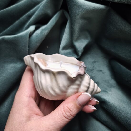 Svece mazais gliemežvāks n°5