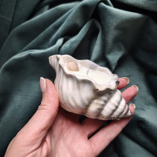 Svece mazais gliemežvāks n°6