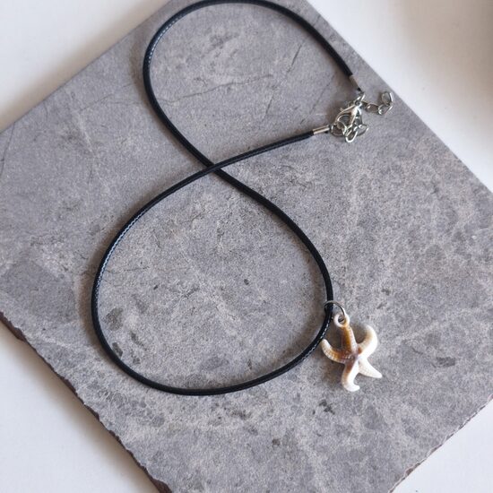 Kaklarota akrila jūras zvaigzne auklā