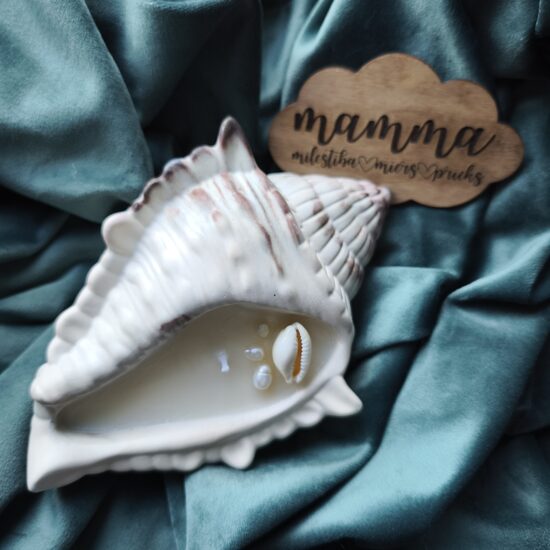 Komplekts Koka magnēts un svece ģipša gliemžvākā