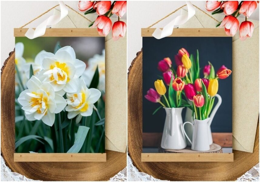 Sienas dekoru Komplekts #Narcises un tulpes