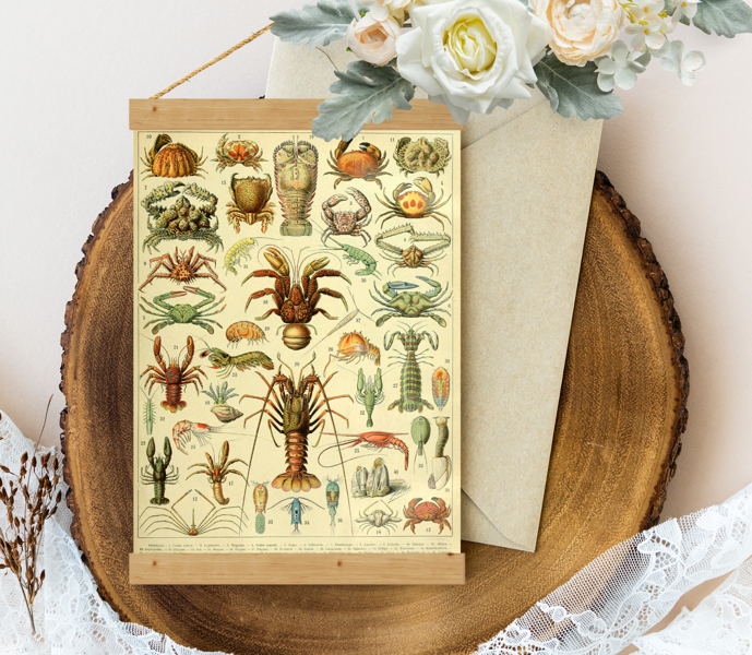 Sienas dekors - Vintage Adolphe_Millot_crustaces
