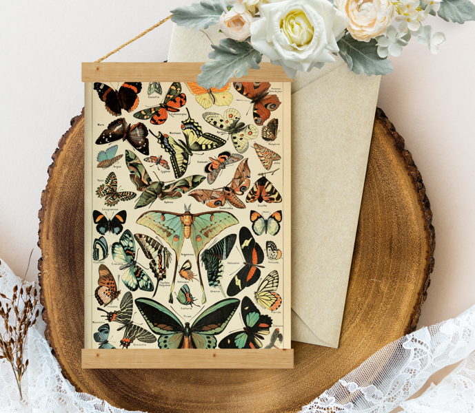 Sienas dekors Vintage Adolphe_Millot_papillons-pour_tous