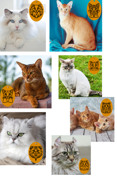 Wooden Keychain Cat #1