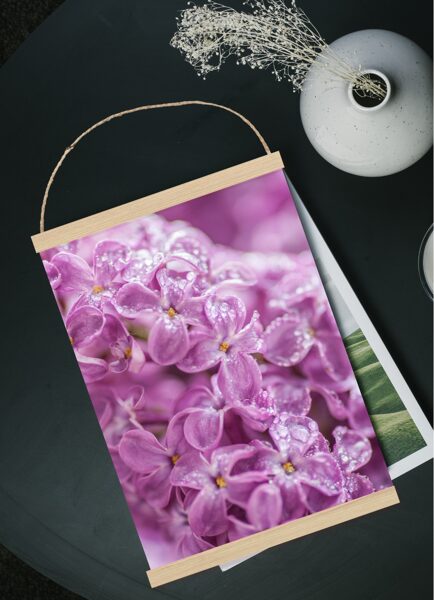 Ceriņi lietū #violets