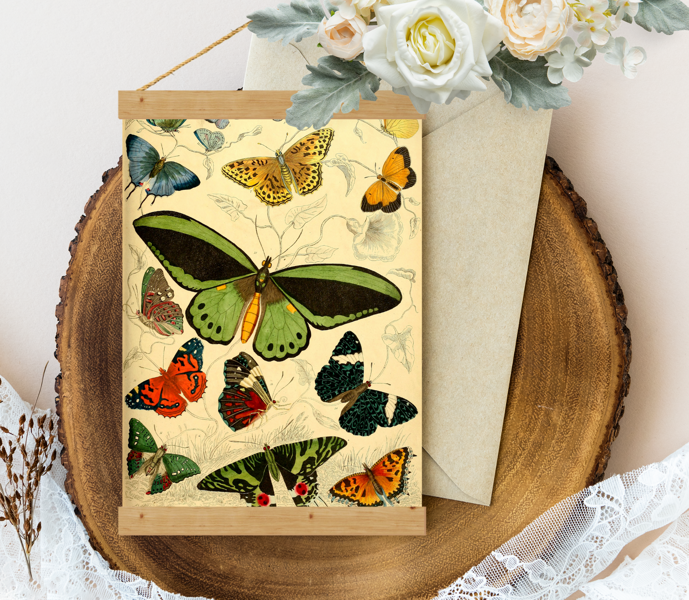 Sienas dekors Vintage Edinburgh-journal-of-natural-history