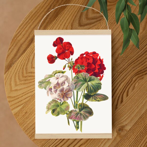 Sienas dekors Ģerānijas