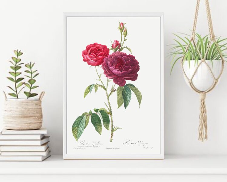 Vintage roze #6