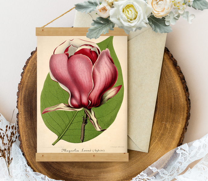 Sienas dekors Vintage Magnolia-×-soulangeana