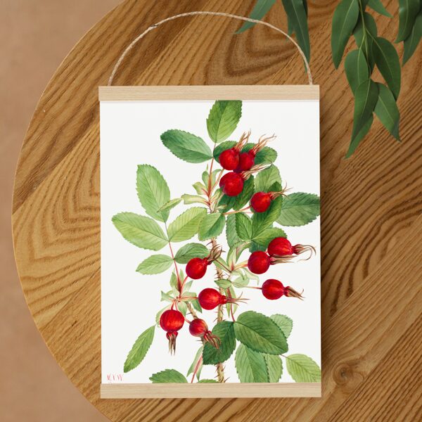 Sienas dekors Mežrožītes augļi