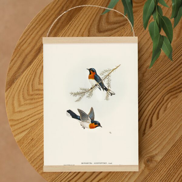 Sienas dekors Mušķērāji