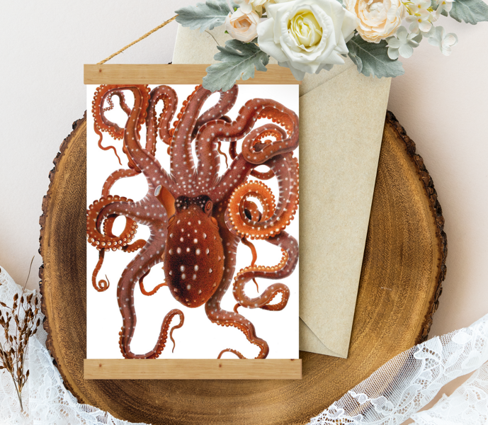 Sienas dekors Vintage Octopus-macropus-Merculiano