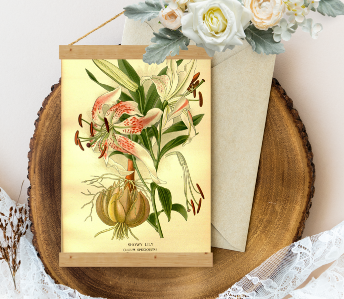Sienas dekors Showy-Lily