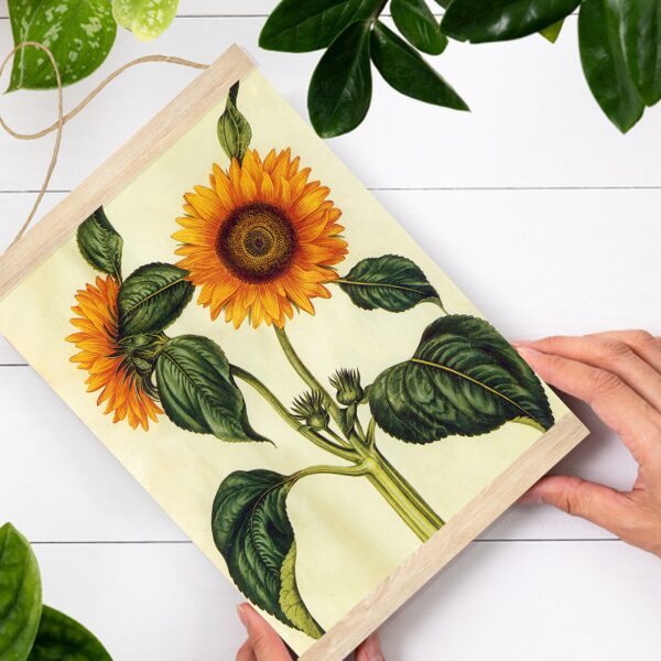 Sienas dekors - Vintage Saules puķes A4