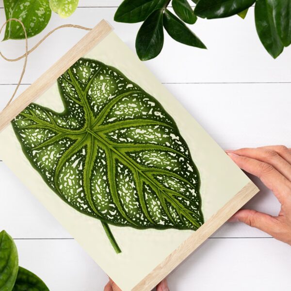 Sienas dekors Caldium-Mirabile A4