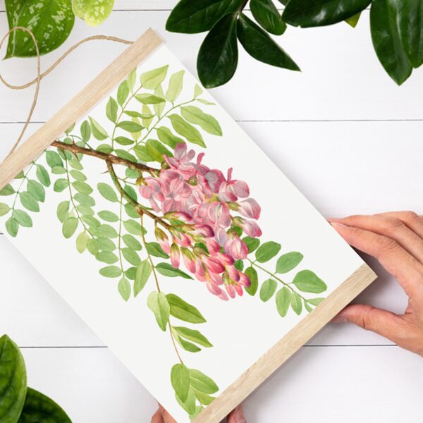 Sienas dekors Ceratonija