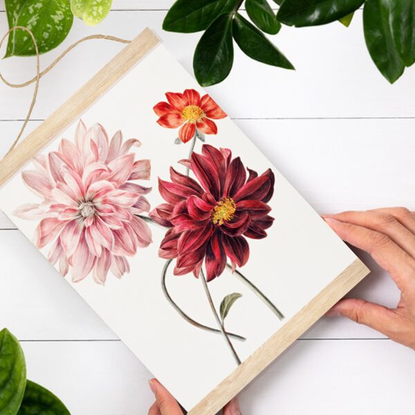 Sienas dekors Dālijas A4