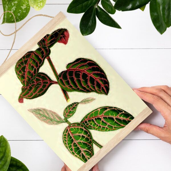 Sienas dekors Erantēmas lapas A4