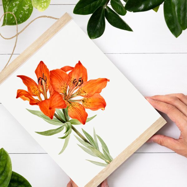 Sienas dekors Oranžā Lilija