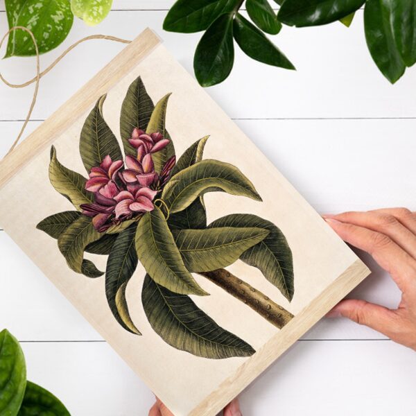 Sienas dekors Plumērijas koks A4