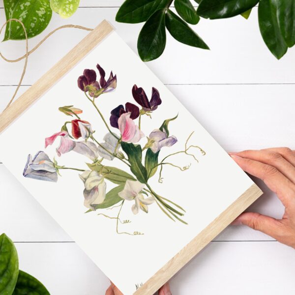 Sienas dekors Puķuzirņi