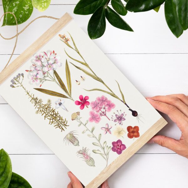 Sienas dekors Rozā ziedi A4