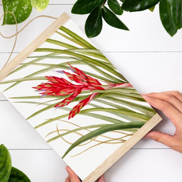 Sienas dekors Tilandsija A4