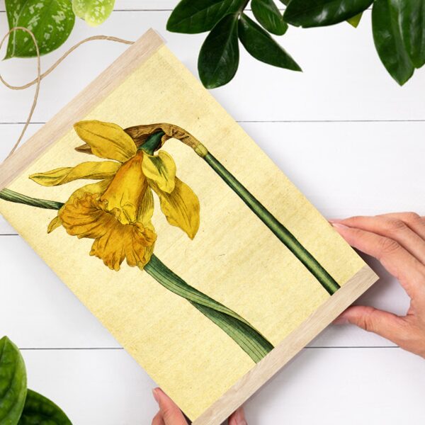 Sienas dekors Vintage Spānijas narcise A4