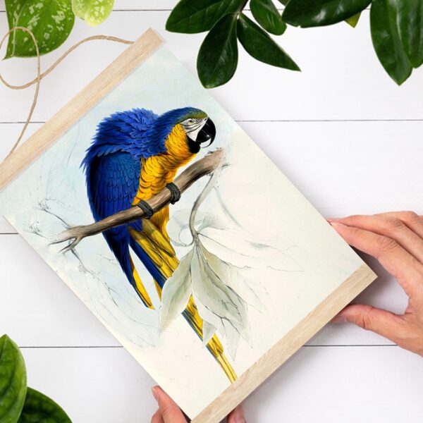 Sienas dekors Zili dzeltens ara A4