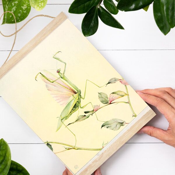 Sienas dekors dievlūdzējs kukainis A4