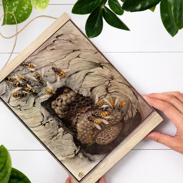 Sienas dekors parastās lapsenes Kukaiņi A4