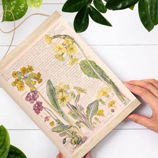 Sienas dekors prīmulu ģimene A4