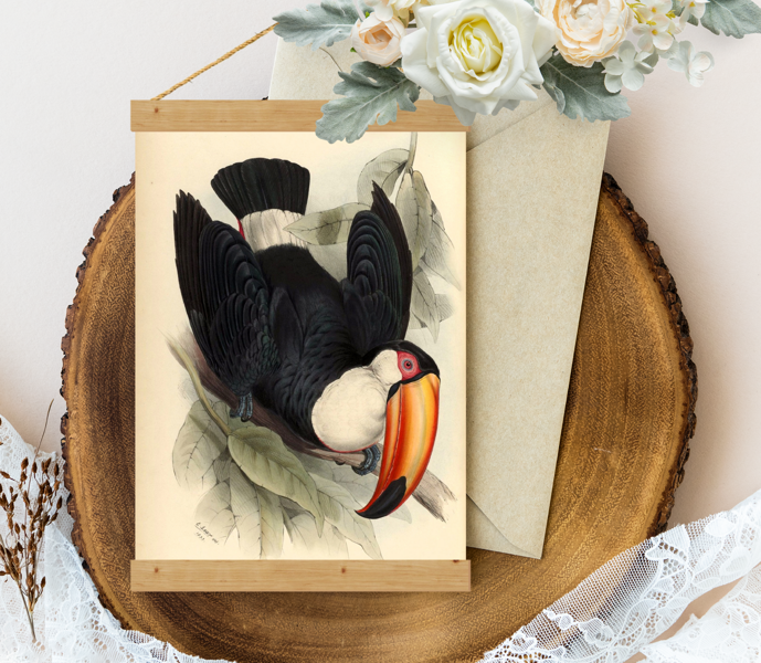 Sienas dekors Vintage Toucan-John-Gould-1834