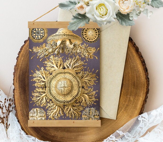 Sienas dekors - Vintage Haeckel Discomedusae_28