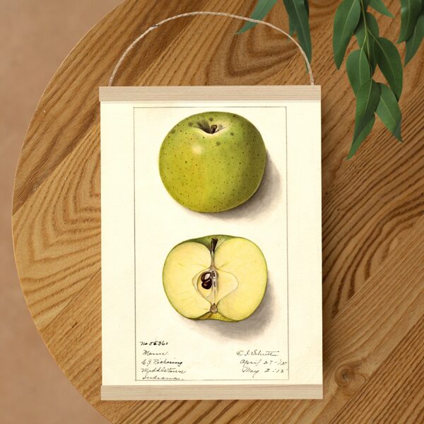 Sienas dekors - Vintage Zaļš ābols