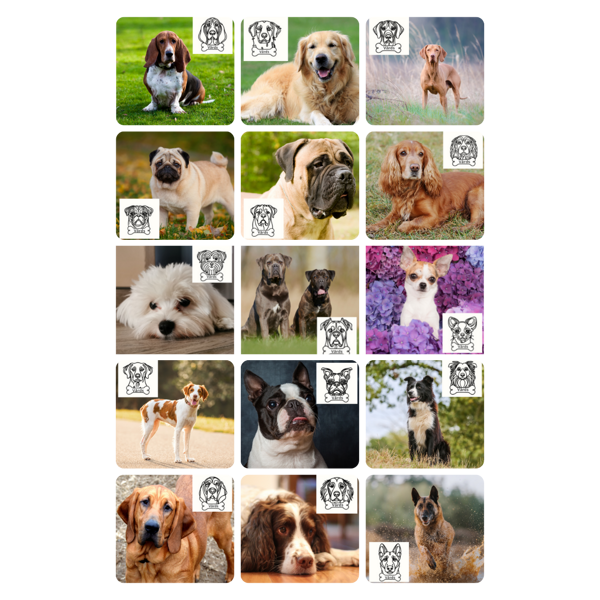 Wooden Keychain - Personalized with your dog's name Part II