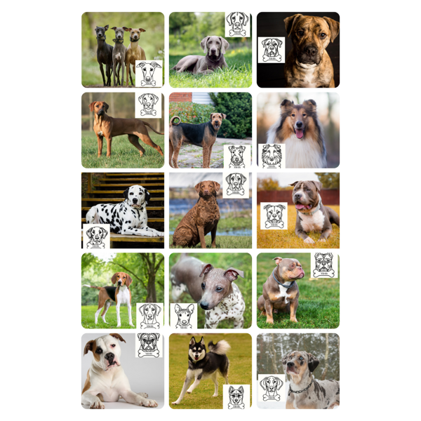 Wooden Keychain - Personalized with your dog's name Part III