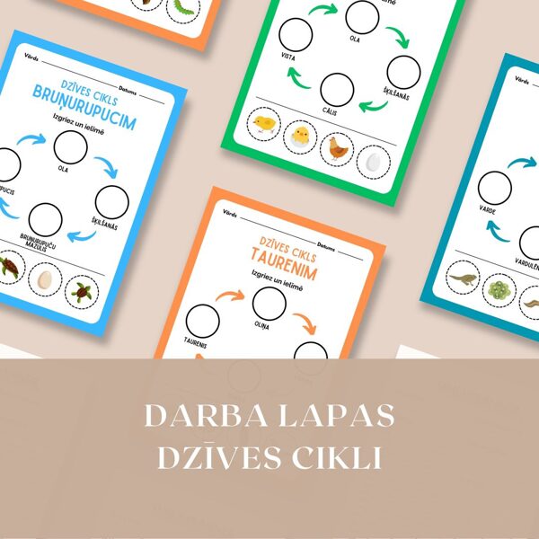 digitālais fails Dzīves cikls darba lapas 4.lpp