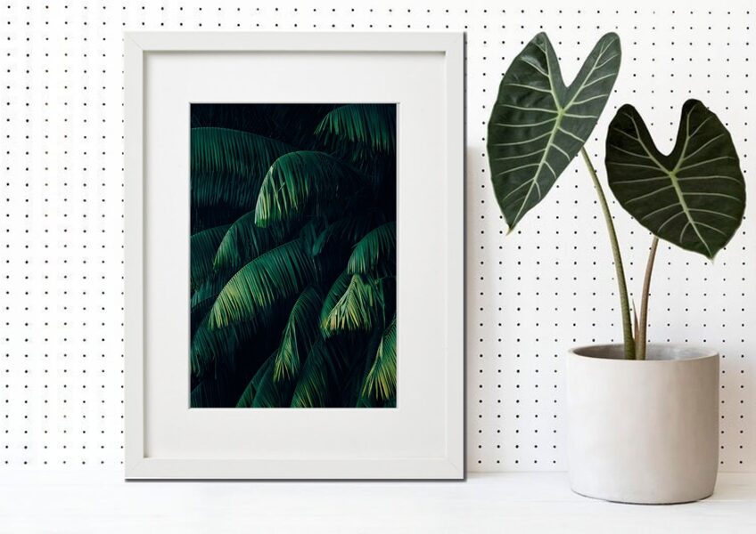 Flora rāmī n°21
