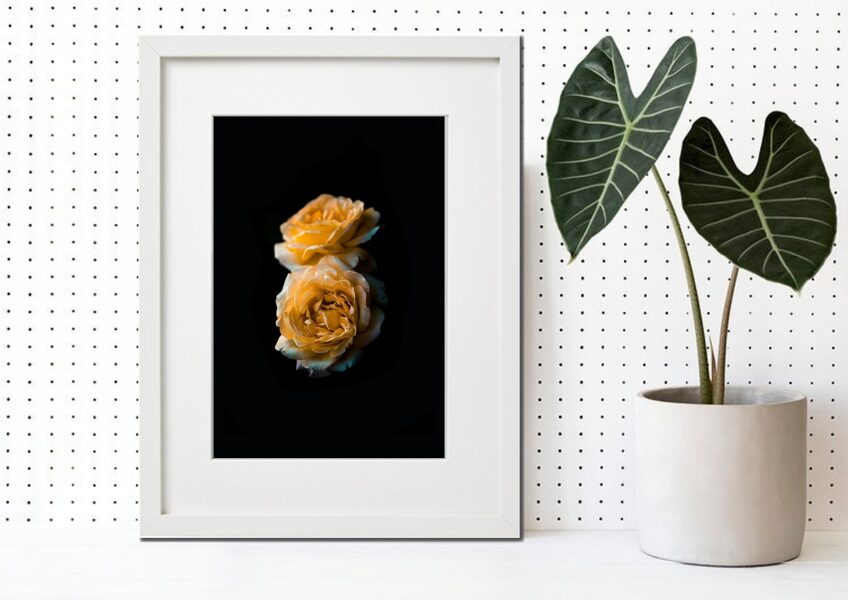 Flora rāmī n°15