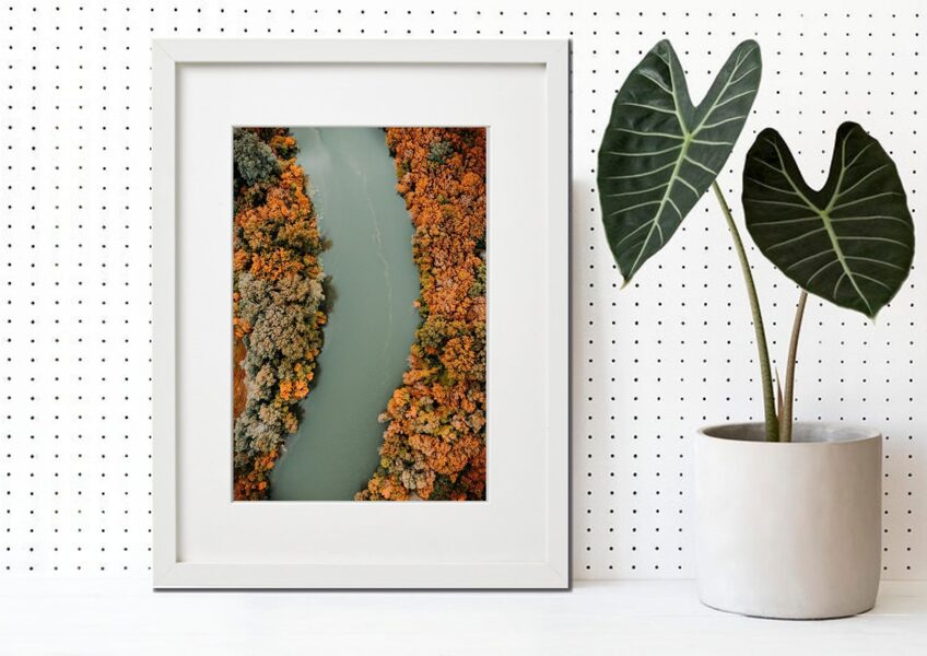 Flora rāmī n°03