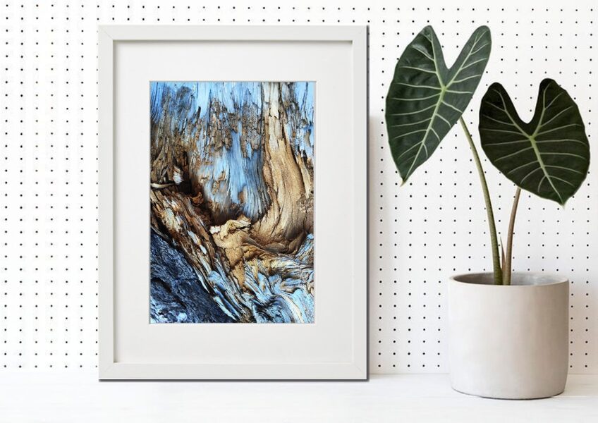 Flora rāmī n°08