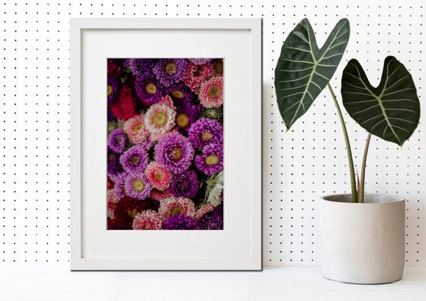 Flora rāmī n°23