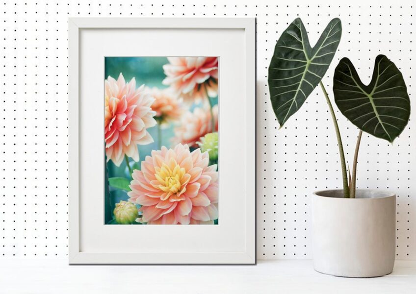 Flora rāmī n°33